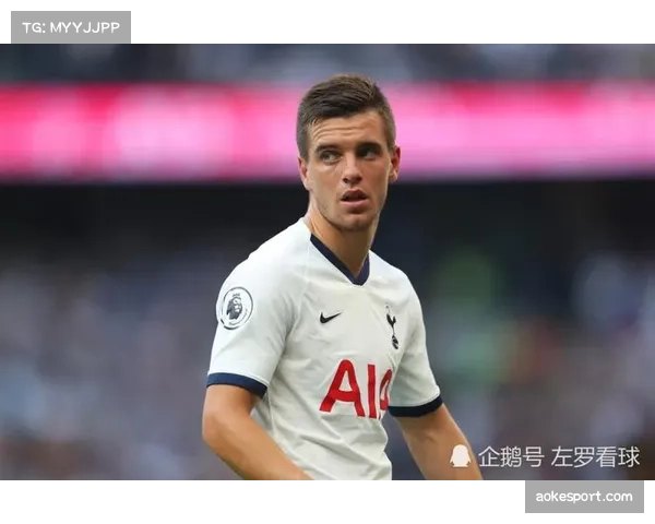 深度报道：托特纳姆热刺球场扩建计划公示，旨在增加座位容量